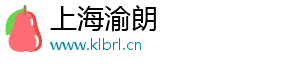 “國際航班呼叫錄音曝光，一次飛行中的緊急故障排除全過程?！?-上海渝朗